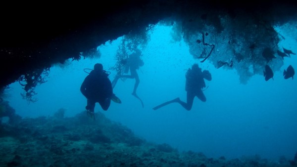 snappers cave Bohol